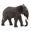 Elefante Africano
